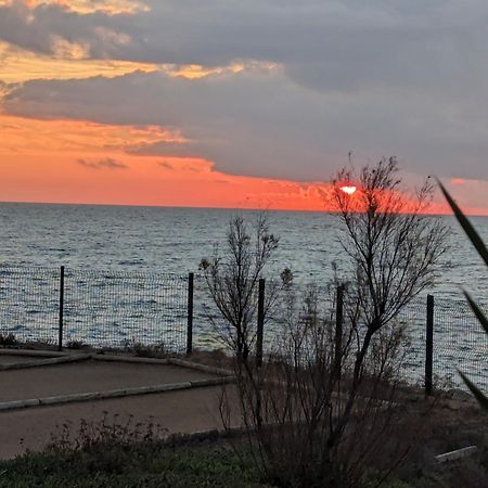 Studio Cosy Vue Et Front De Mer Сет Экстерьер фото