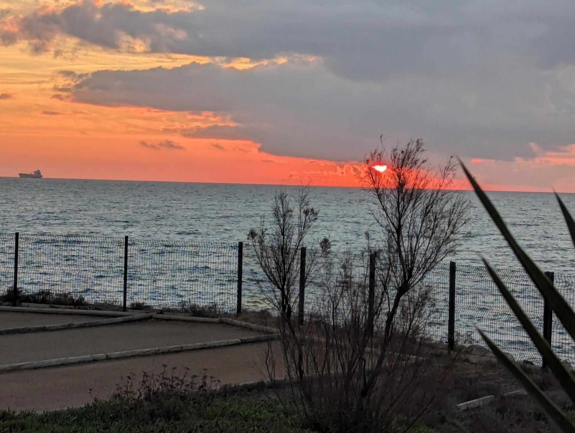 Studio Cosy Vue Et Front De Mer Сет Экстерьер фото
